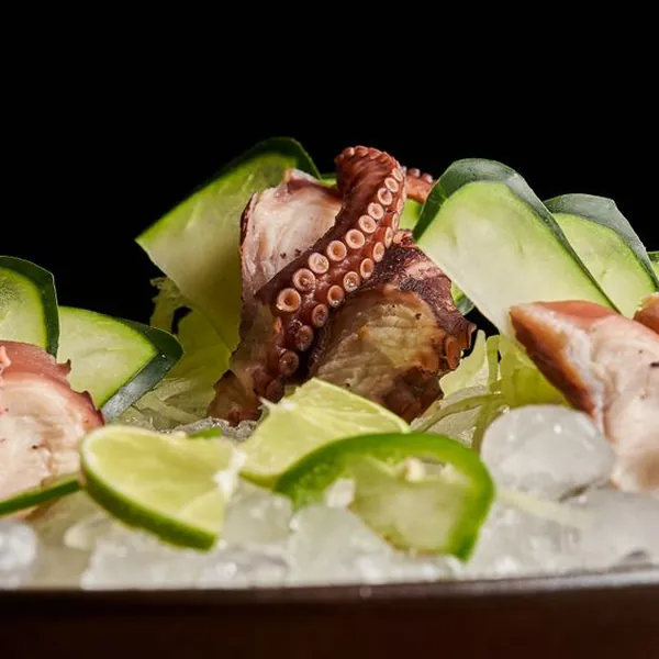 Octopus — Futigi, Fresh Meadows